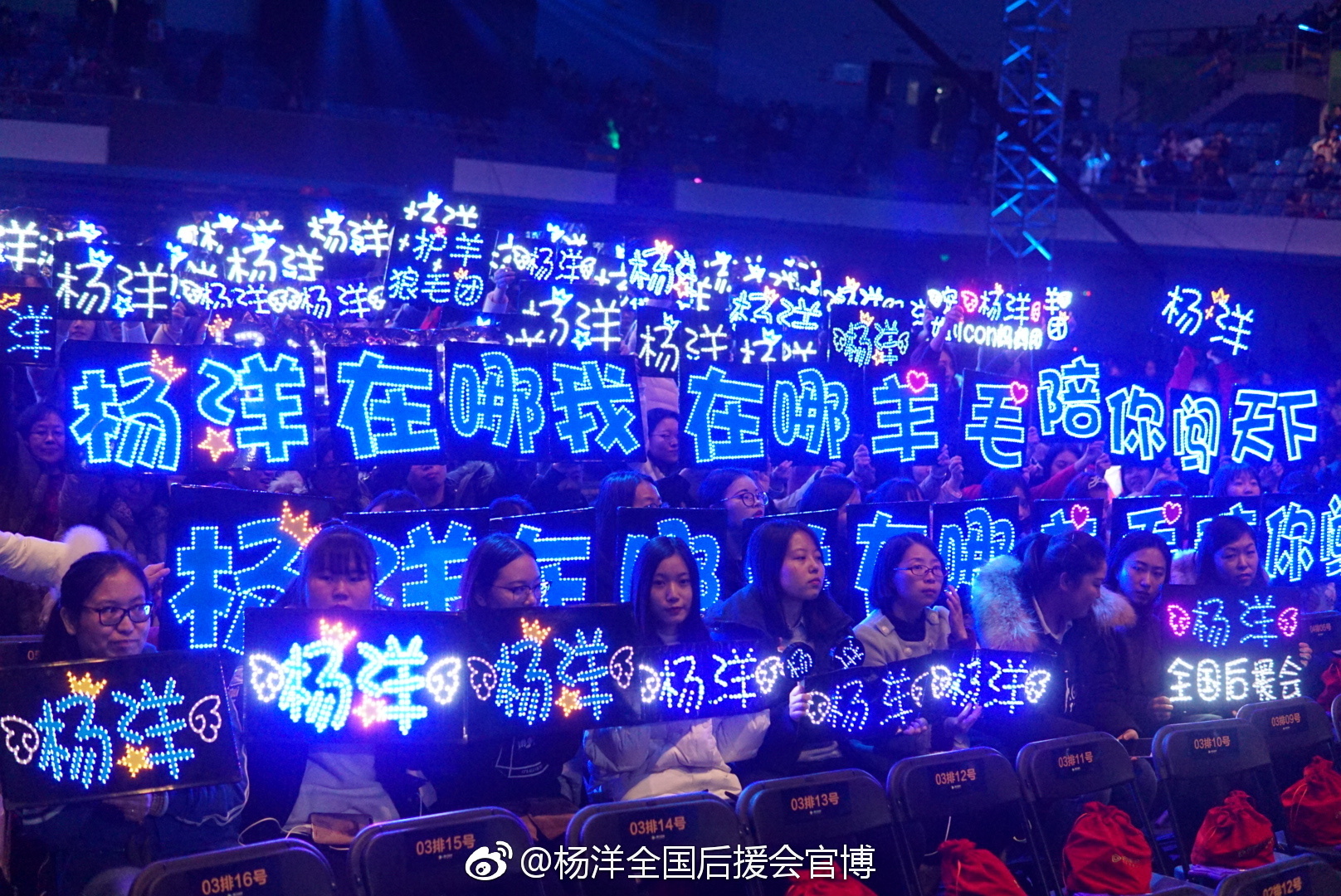 "杨洋在哪我在哪,羊毛陪你闯天下"是演员杨洋粉丝团的应援口号