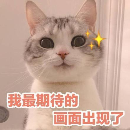 奇遇攻略② 陈州爱情故事过关技巧！最快通关方法竟然不用操作？