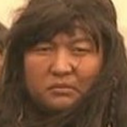 毕力格