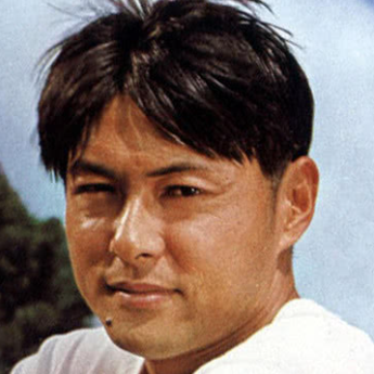 白鹰