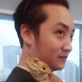 钟彧