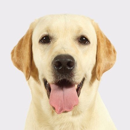 叮当 - 腾讯视频 - 腾讯视频