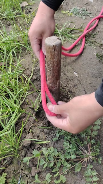 组合式拔桩结