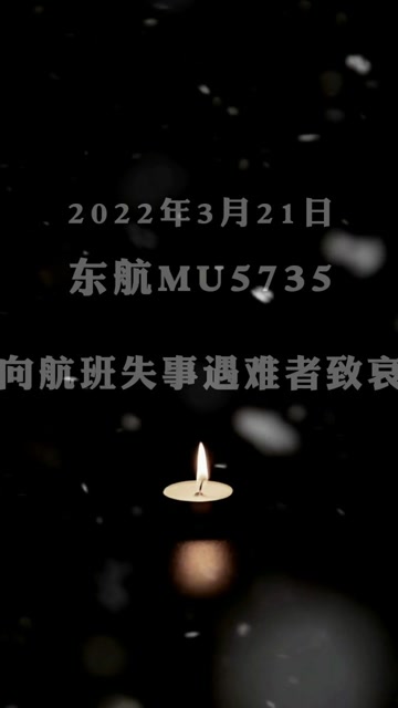 东航mu5735机上人员全部遇难,向132名遇难者致哀