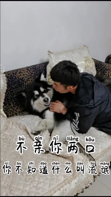 不亲你两口你不知道什么是流氓!狗:我脏了!