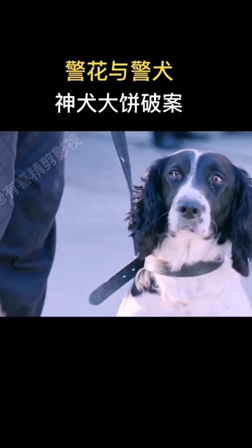 警花与警犬 神犬大饼破案