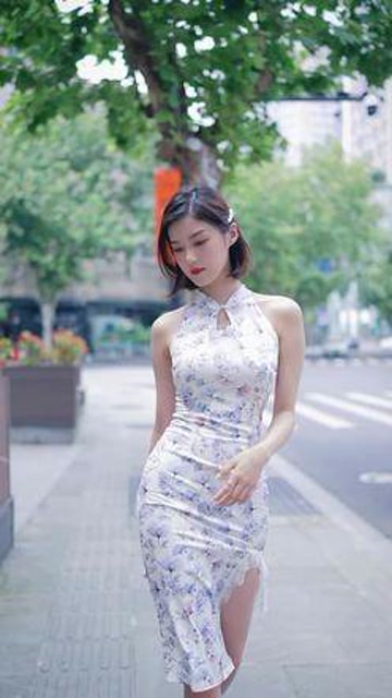 程儿#旗袍美人美如画