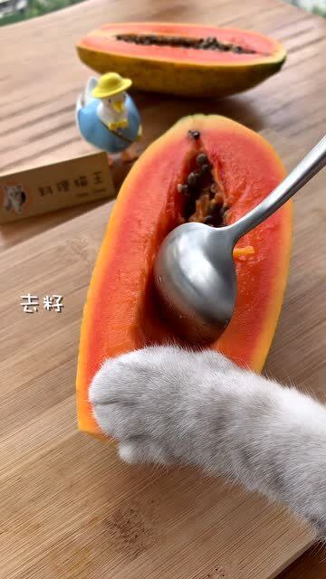 【料理猫王】像化妆品一样的饮料,叫他胭脂雪如何?