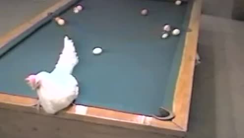 手指下一个动猜成语_看图猜成语(2)