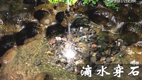 蘇教版五年級語文上冊22 滴水穿石的啟示