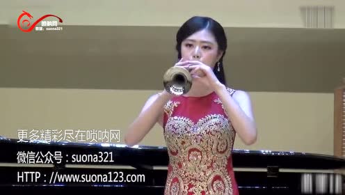 唢呐网姚博文 唢呐独奏《渔樵农耕》