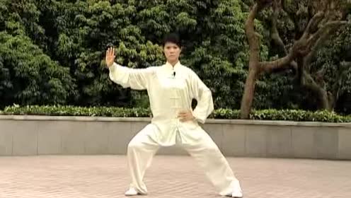 马畅 陈式太极拳22式教学4 1 5式 腾讯视频