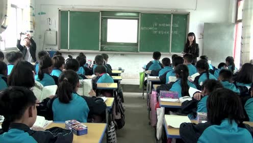 西師大版三年級(jí)語(yǔ)文下冊(cè)29 植物之間的“愛(ài)”和“恨”