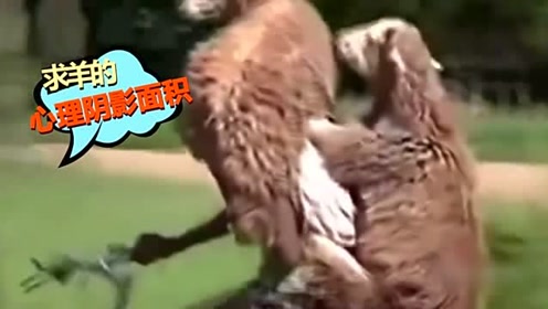 恶搞之家奶牛恶搞视频大全，恶搞之家奶牛恶搞视频大全下载