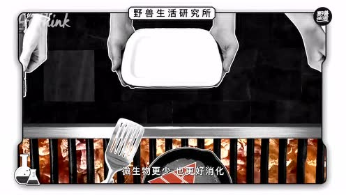 Pls生活研究所 腾讯视频