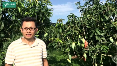 大观园老总_红楼梦大观园图片(2)