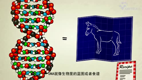 什么是dna 腾讯视频