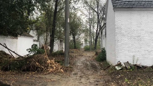 实拍安徽阜阳农村,90年代的建筑已经无人居住,渐渐消失了