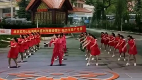 冬菊塘尾广场舞《梨花飞情人泪》糖豆高级认证舞队精彩表演