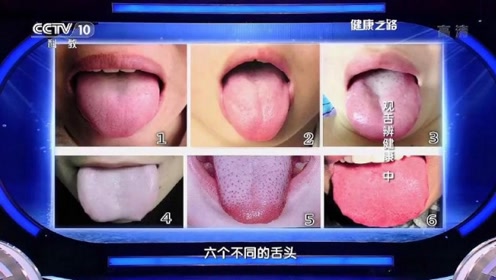 湘教版一年级语文下册21 舌头的秘密