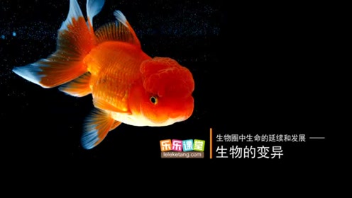 八年级生物下册第七单元第二章 生物的遗传和变异 5.生物的变异