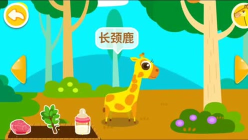 动物乐园 认识可爱的长颈鹿和袋鼠
