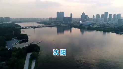 1944年沈阳gdp国内排名_沈阳医大骨科专家排名(2)