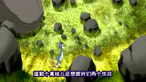 金花show四川话汤姆猫跟老鼠来了场奇妙冒险,配上方言笑安逸了