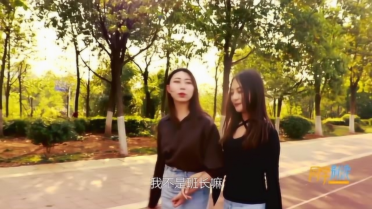短剧学习系列，开启知识的新篇章