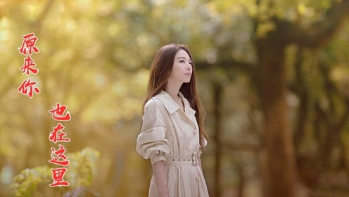 刘若英一首《原来你也在这里》,唱哭了多少痴情人,经典的回忆