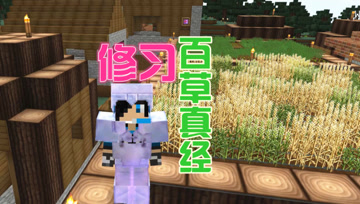 地阶功法百草真经 血舞凡人修仙传#25