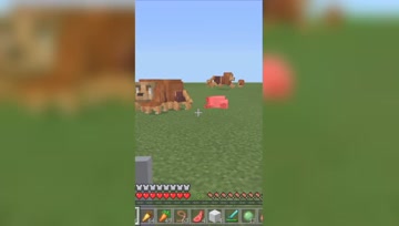 我的世界Mod：新生物小狮子，一口吃掉一只小绵羊！