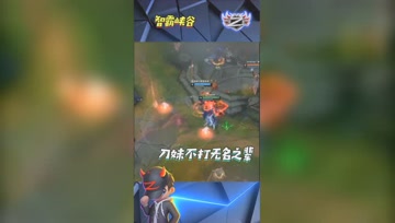 LOL小智：我的刀妹从不乱打无名之辈！