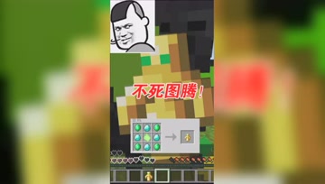 我的世界Mod：不死图腾可以自己制作了！不怕突然死亡了