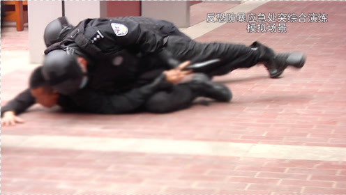 学校暴力事件 腾讯视频