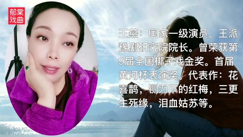王燕:国家一级演员.王素君大师亲传弟子王派豫剧研究院院长.