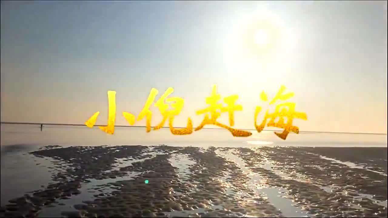 小倪赶海篇赶海整片都是海蛎子,拿上工具一会撬小半桶
