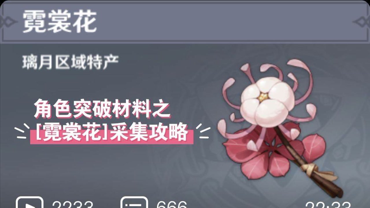 【hare月】《原神》角色突破材料之[霓裳花]采集攻略