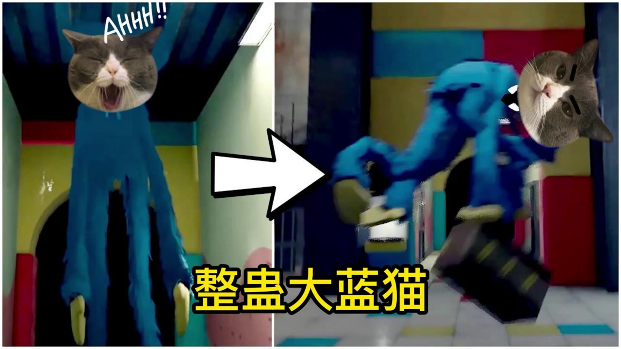 用一个箱子整蛊大蓝猫,使大蓝猫在工厂里上蹿下跳,太逗了!