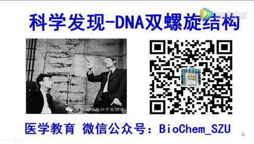 科学发现 dna双螺旋结构 腾讯视频