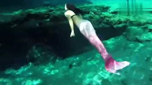 日本冲绳海面惊现3米"美人鱼"尸体,疑与当地填海造陆