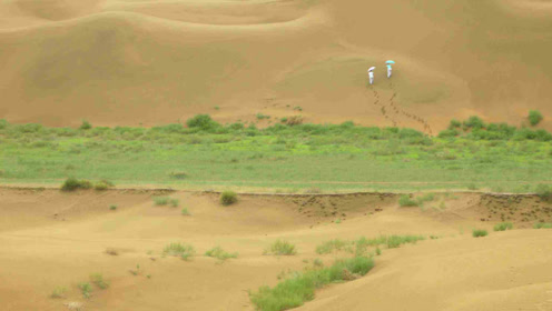 苏教版四年级语文下册19 沙漠中的绿洲