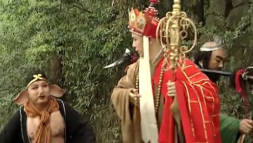 西游记:孙悟空让唐僧他们别出圈,可三人没一个听话的,要出事!