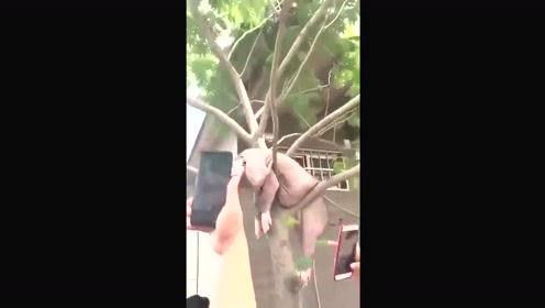 恶搞快递视频，恶搞快递视频大全