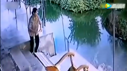 樱茵短剧，探索现代戏剧的魅力与力量