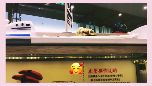 精通版六年級(jí)英語(yǔ)下冊(cè)Unit 1 I went to Sanya for my holidays.