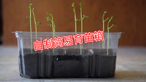 腾讯视频