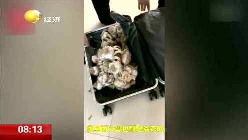 中国女子行李箱中抱膝而亡已白骨化,日本警方抓获一名中国男子