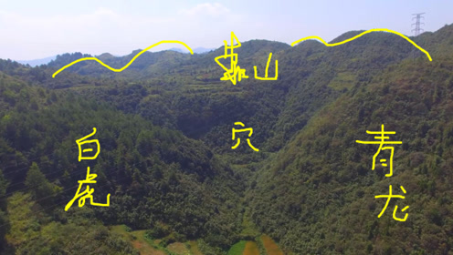 左右青龙白虎,背靠大山藏风聚气,这才是上乘的风水宝地