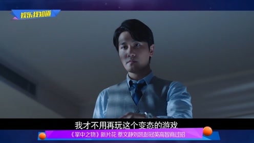 《掌中之物》新片花 蔡文静刘凯彭冠英高智商过招